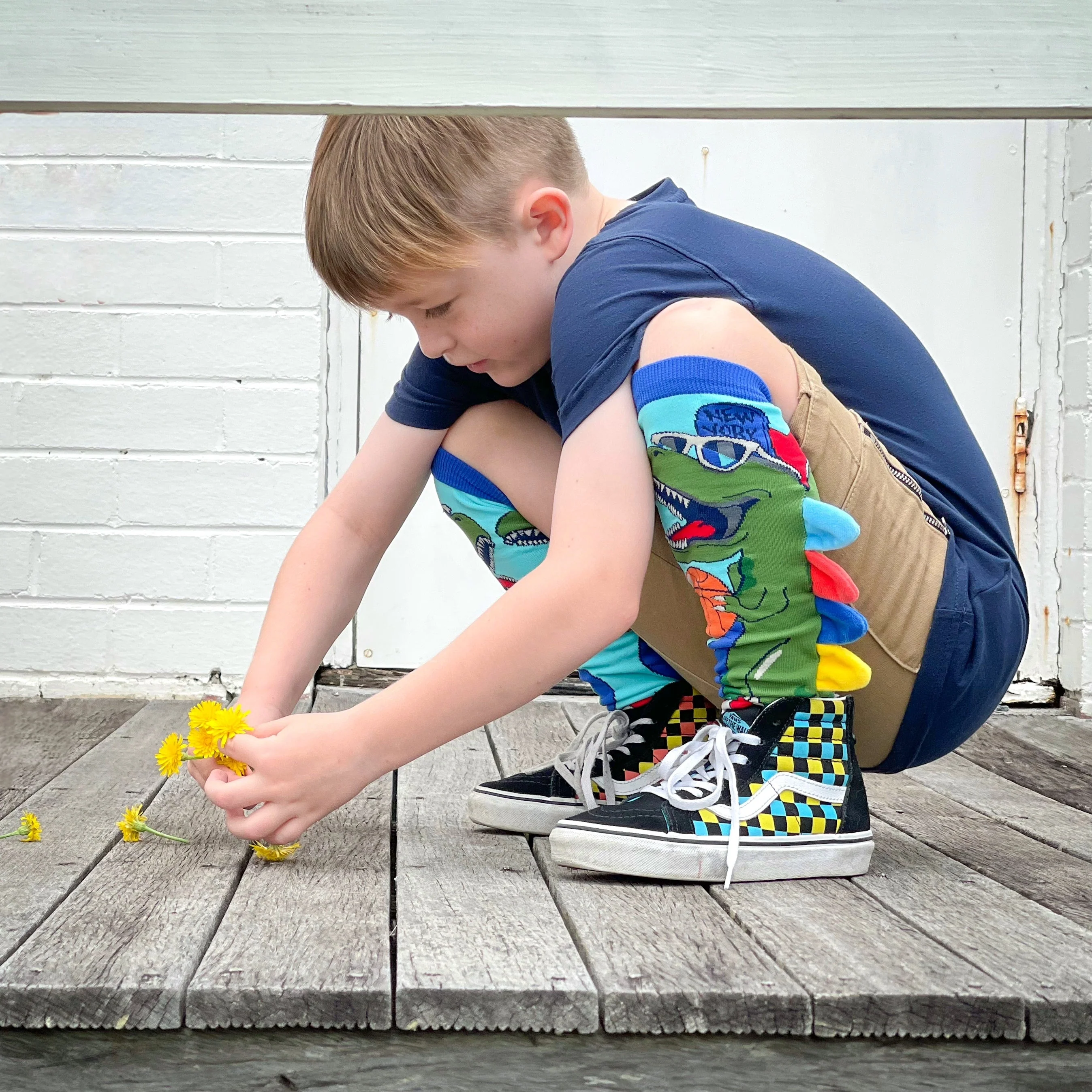 DINOSAUR SOCKS - Image 2