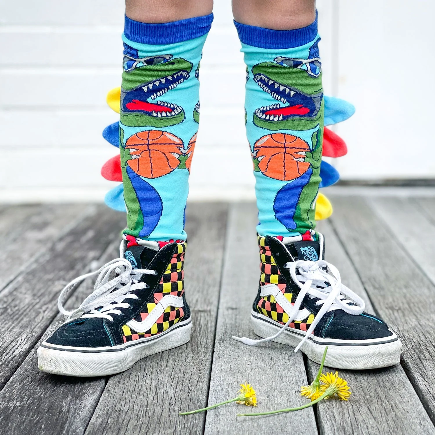 DINOSAUR SOCKS - Image 4