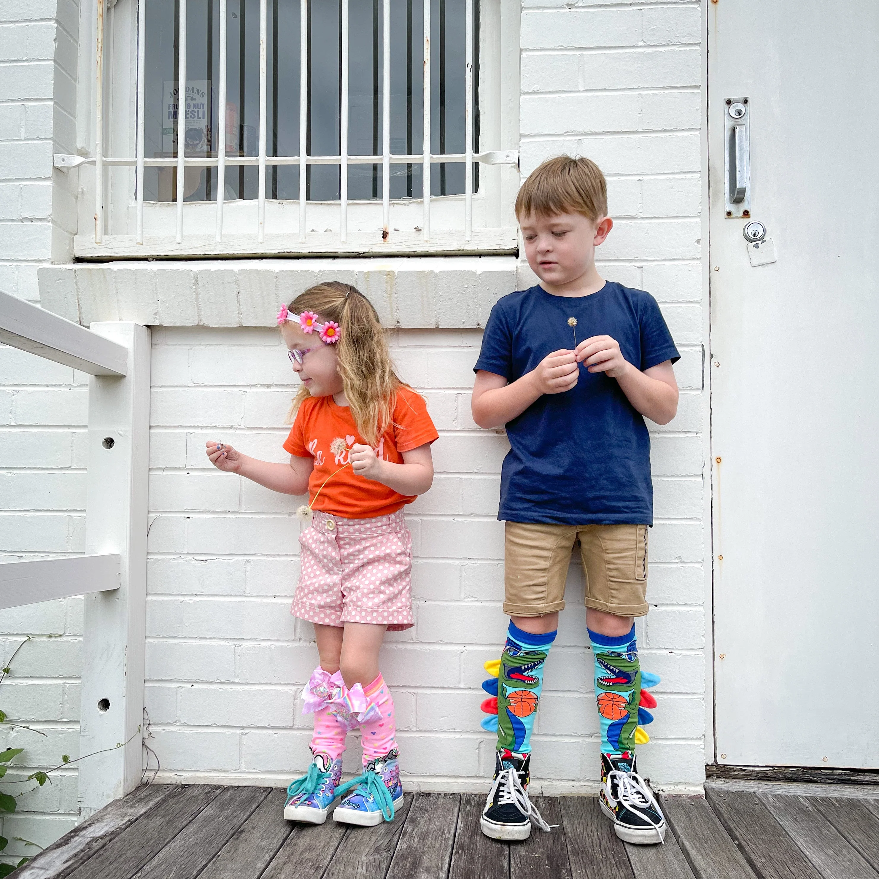 DINOSAUR SOCKS - Image 5
